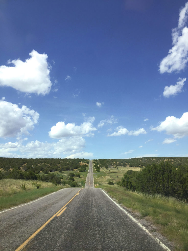 A scenery image of a long empty road in the Southwest.