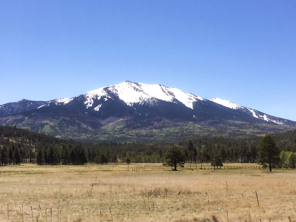 a landscape picture of Humphrey's Peak in Flagstaff, Arizona