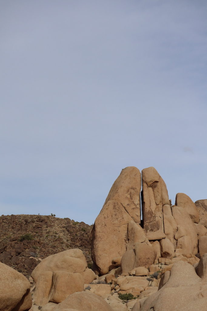 A view from the Split Rock hiking trail in Joshua Tree National Park.
