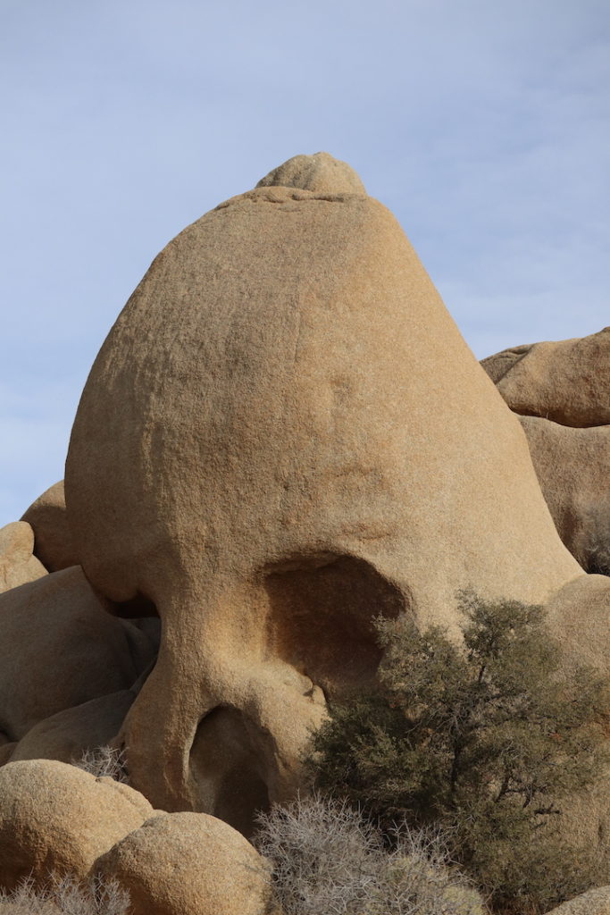 A view of a rock shaped like a skull called Skull Rock during a day in Joshua Tree.