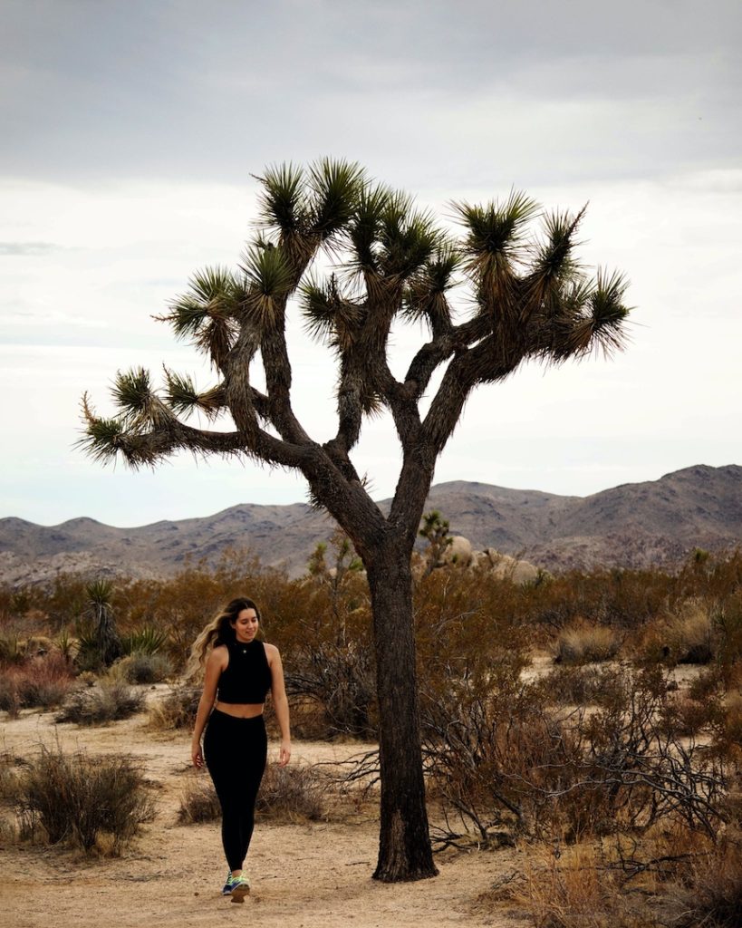 A Joshua Tree with me, Say Sarah, standing underneath it.