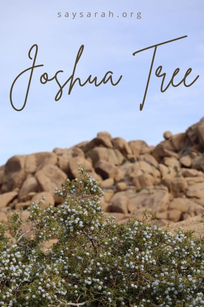 A pinnable graphic to present the travel blog a day in Joshua Tree with a scenery image of the national park in the background.