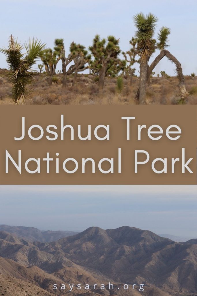 A pinnable image to represent the travel blog post titled "Joshua Tree National Park"