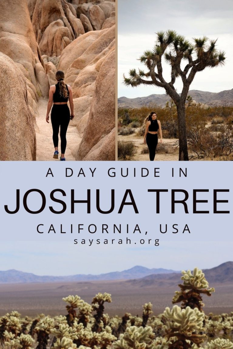 A pinnable graphic titled A day guide in Joshua Tree California, USA" with a collage of the Cholla Cactus Garden, Arch Rock, and a Joshua Tree.