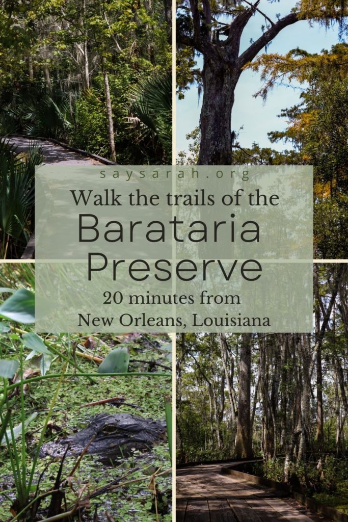 Pinnable image to represent the blog titled "Walk through the Barataria Preserve - 20 minutes from New Orleans, Louisiana"