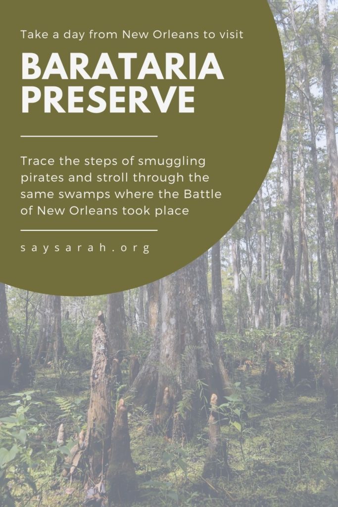 Pinnable image to represent the blog titled "Take a stroll through Barataria Preserve - walk the same path as smuggling pirates and the same swamps the Battle of New Orleans took place"