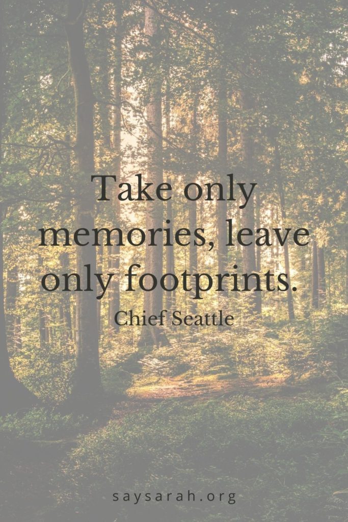A travel quote that says "Take only memories, leave only footprints."