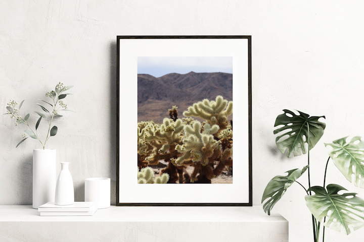Vertical print of cactus in Joshua Tree national park.